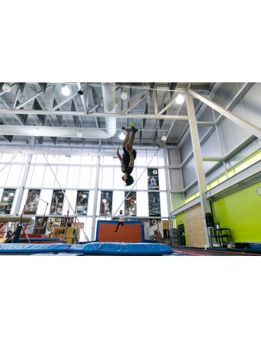 Kangourous - Trampoline...