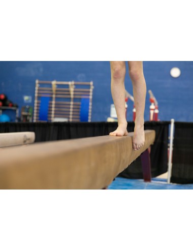 Gymnastics for adults (16...